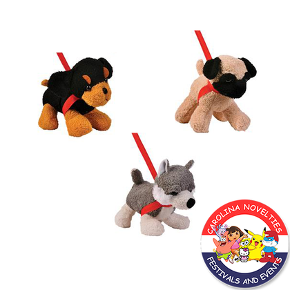 ASSORTED DOG ON LEASH 